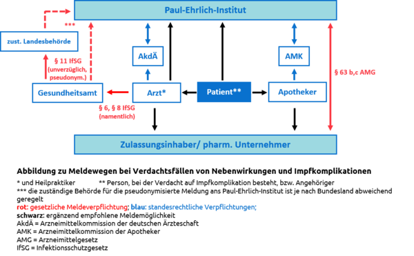Die Grafik zeigt die gesetzlich vorgeschriebenen Meldewege in Deutschland bei Verdacht auf Impfschaden