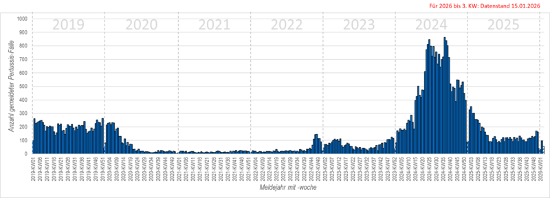 Säulendiagramm der wöchentlichen Meldungen von Keuchhusten in den Jahren 2019 bis 2026