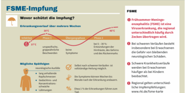 wichtigste Fakten zu FSME als Text, grafische Darstellung des Fieberverlaufs bei FSME (zweigipflig), Aufzählung der Spätfolgen