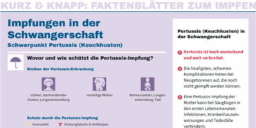 Text zu den Charakteristika von Pertussis in der Schwangerschaft, Darstellung der Risiken (maternale Lungenentzündung, vorzeitige Wehen, kindliche Lungenentzündung) anhand von 3 Piktogrammen